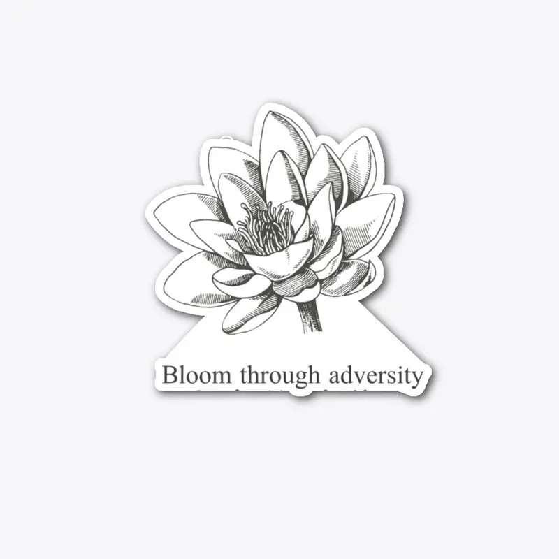 Lotus flowers bloom through adversity